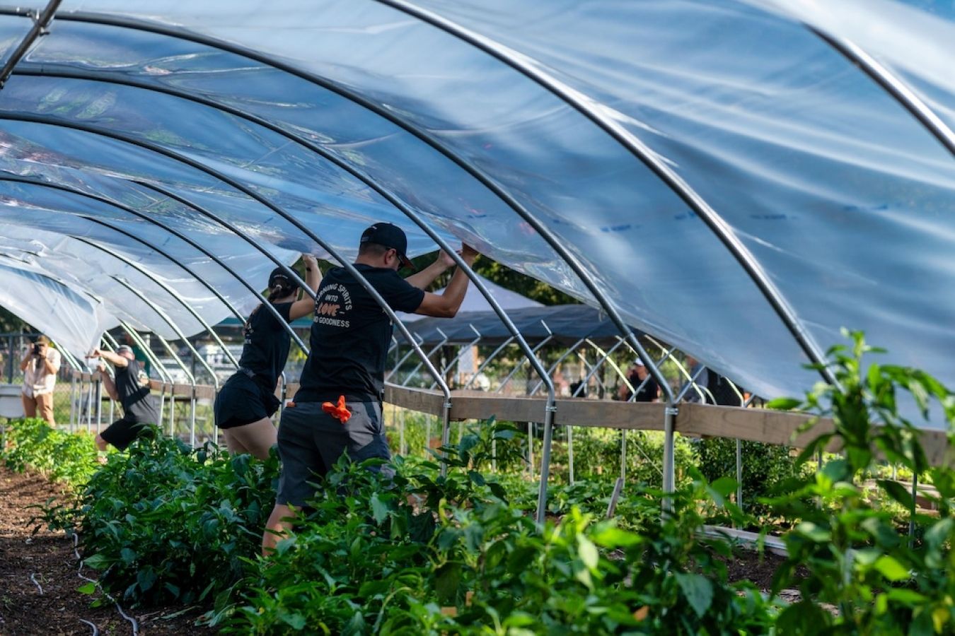 Two people putting up a greenhouse and putting it together. 