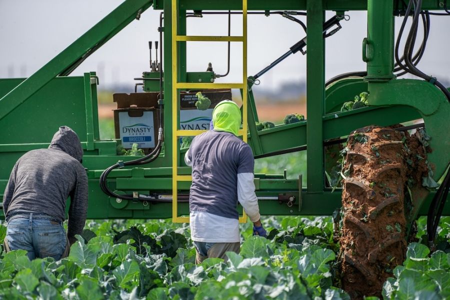 Two people working with farm equipment. 